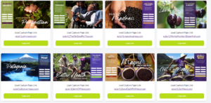 free tour marketing system_maqui